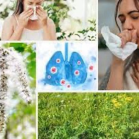 Miért nem „természetes antihisztamin”, hanem az allergiás reakciók rendszerszintű szabályozása