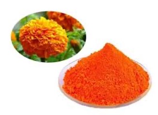 AREDS2: lutein és zeaxantin